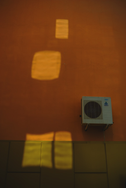 Flecken von Sonnenlicht