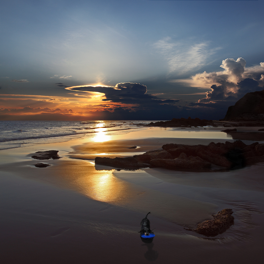 Kommen Sie, um zu schießen, lasst uns spielen ....