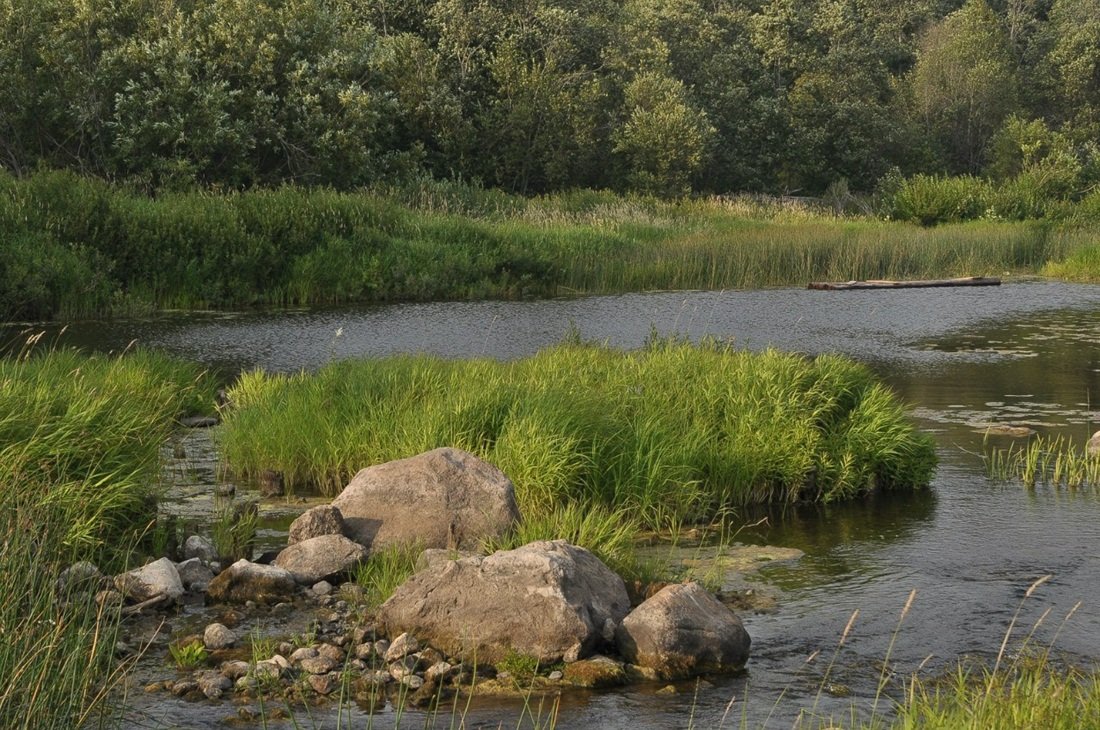 Über die im vergangenen Sommer