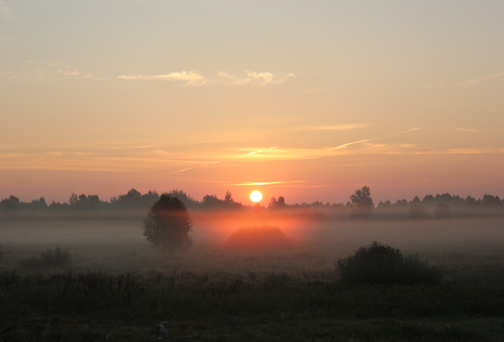 Misty Morgengrauen