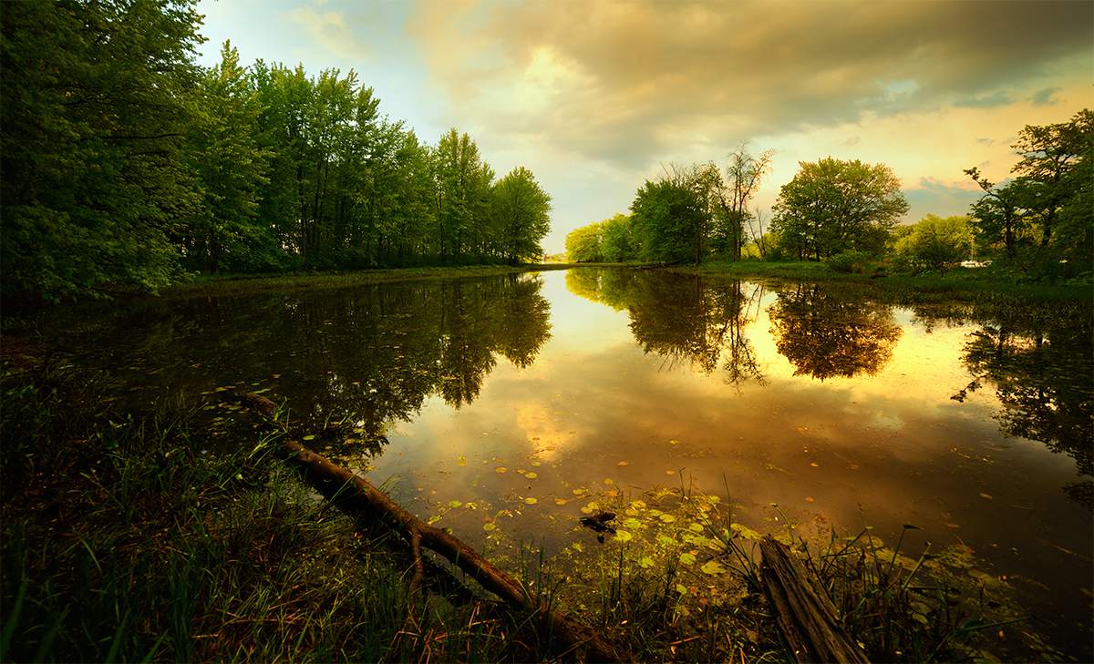 .... In unserem Hafen die Schiffe kommen nicht