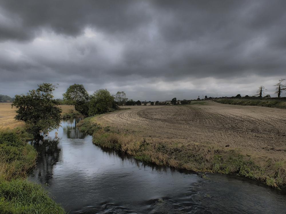 ... "Flog Vögel, Bäume werfen Kohl" ...