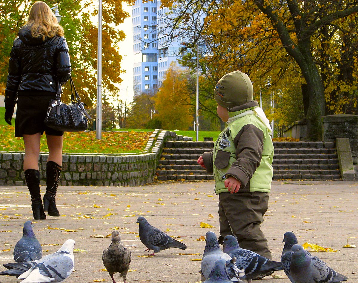 "Ich sah mich um, um zu sehen, ob sie nicht zurück haben, das wäre ..."