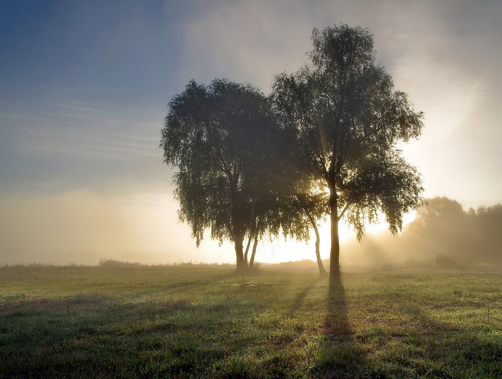 karierten Licht und Schatten