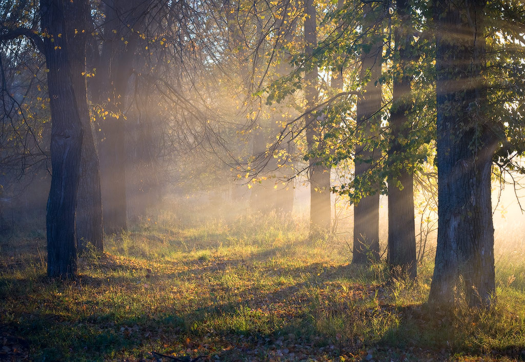 Badete in den Morgen-Strahlen