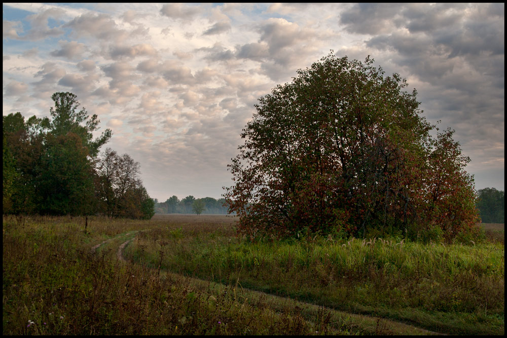 Wake up im September