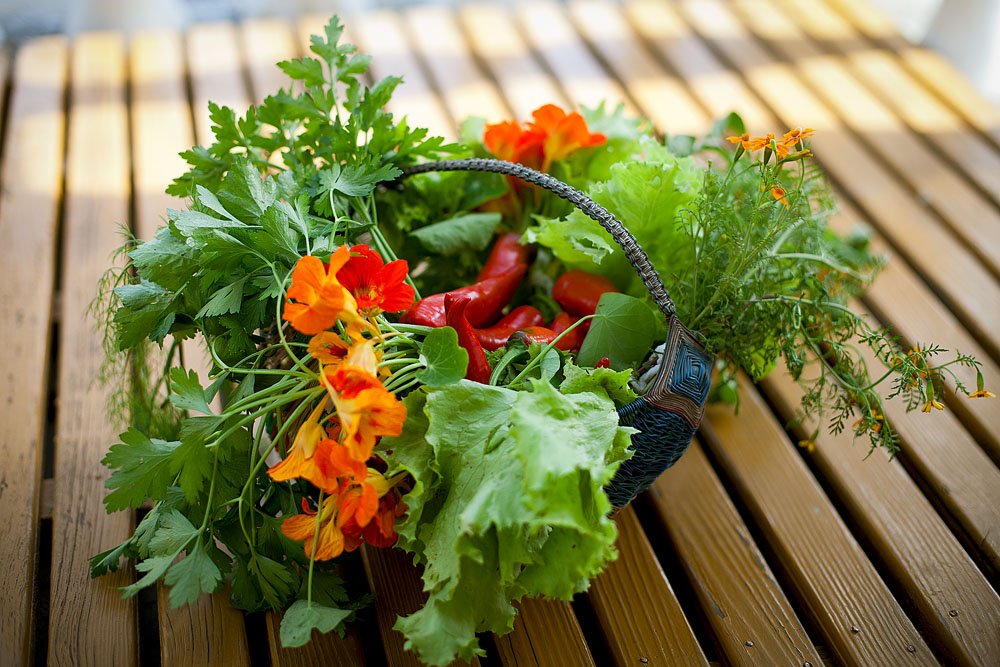 Grandma Zusammensetzung