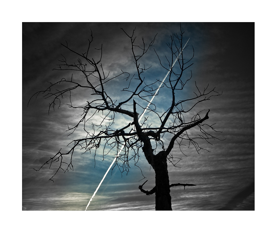 Hatte einen Traum ...