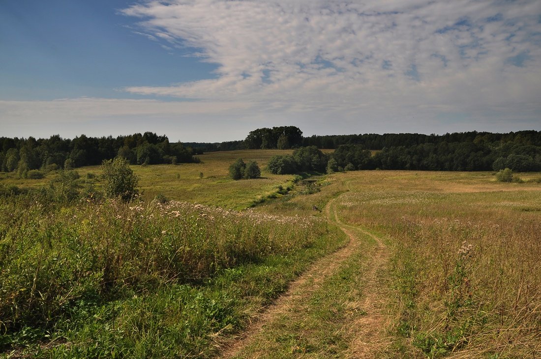 Die Straße zum Dorf Talks
