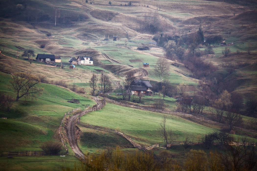Spring Morning in Carpathian Dorf