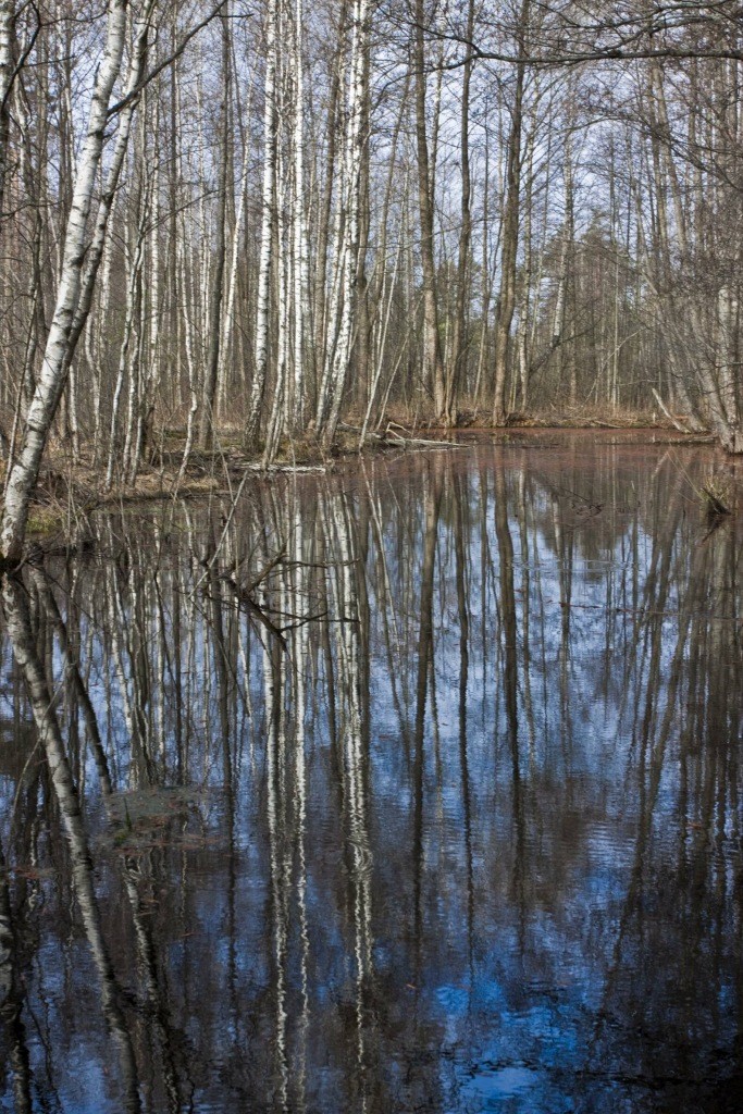 Überschwemmungen im Frühjahr