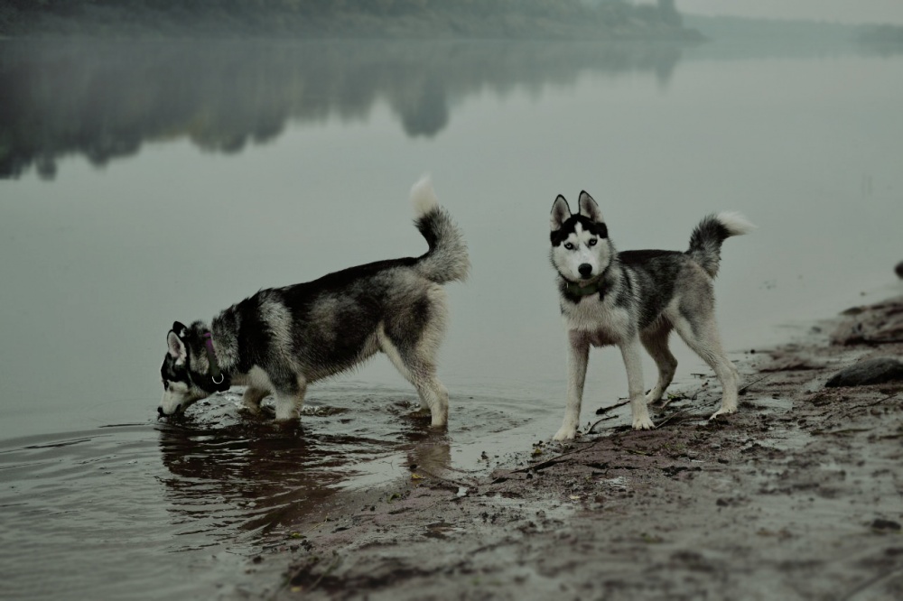 Erfüllung im Nebel ...