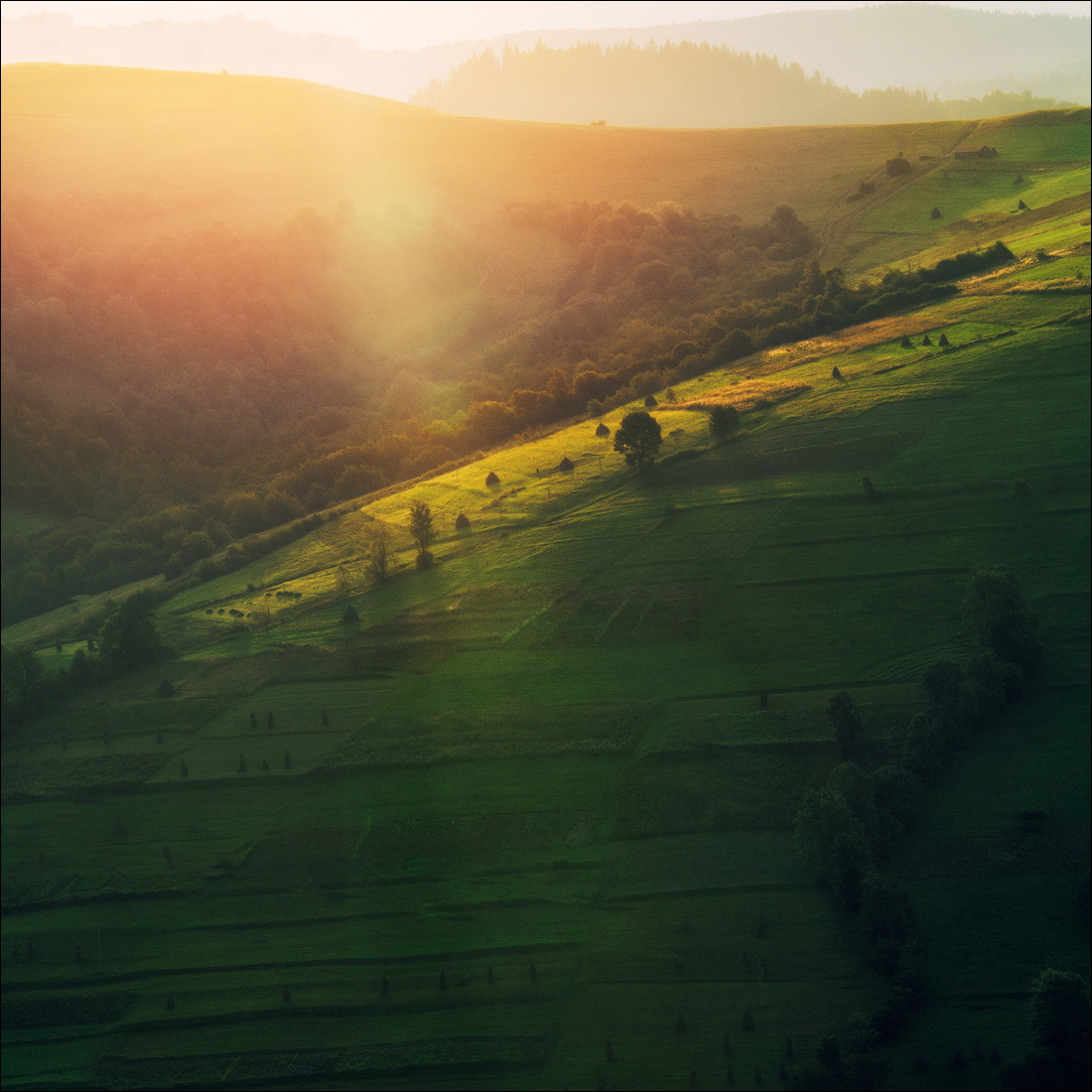 Goldene Sonnenstrahl