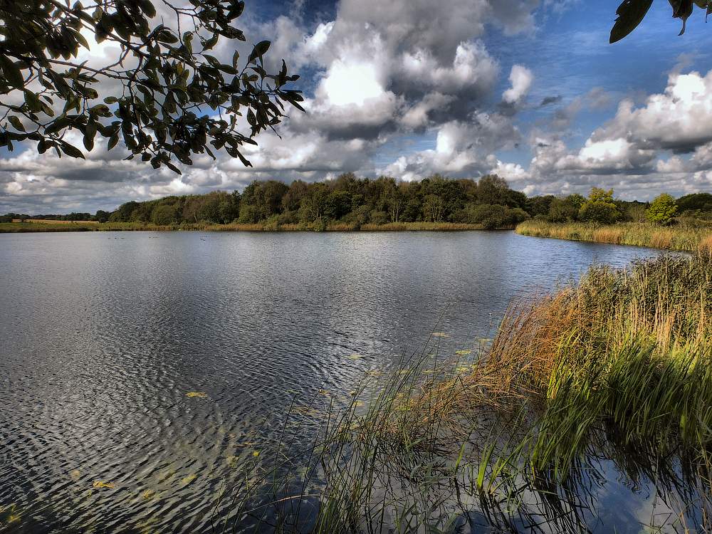 Penaten ... Hecht ...