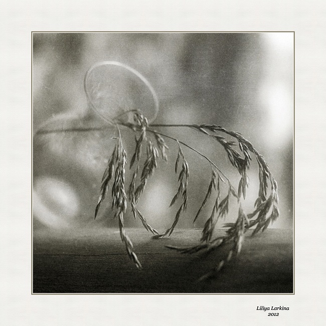 Trauer strömten in Schweigen ...