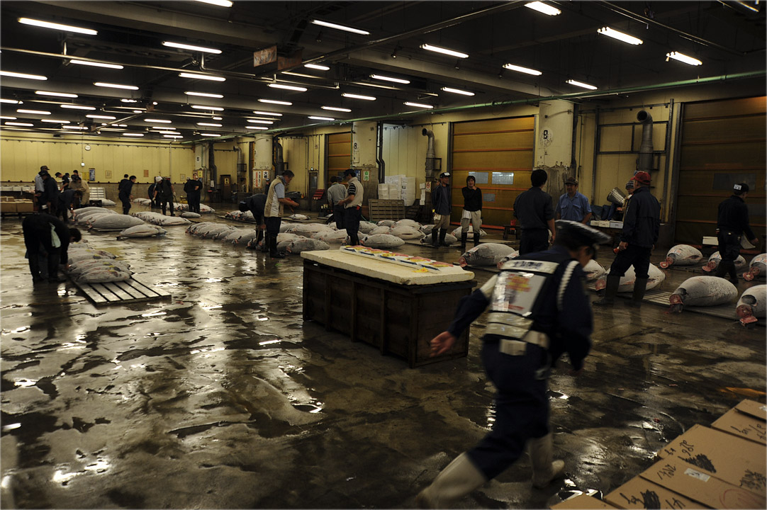 Morning in Tsukiji