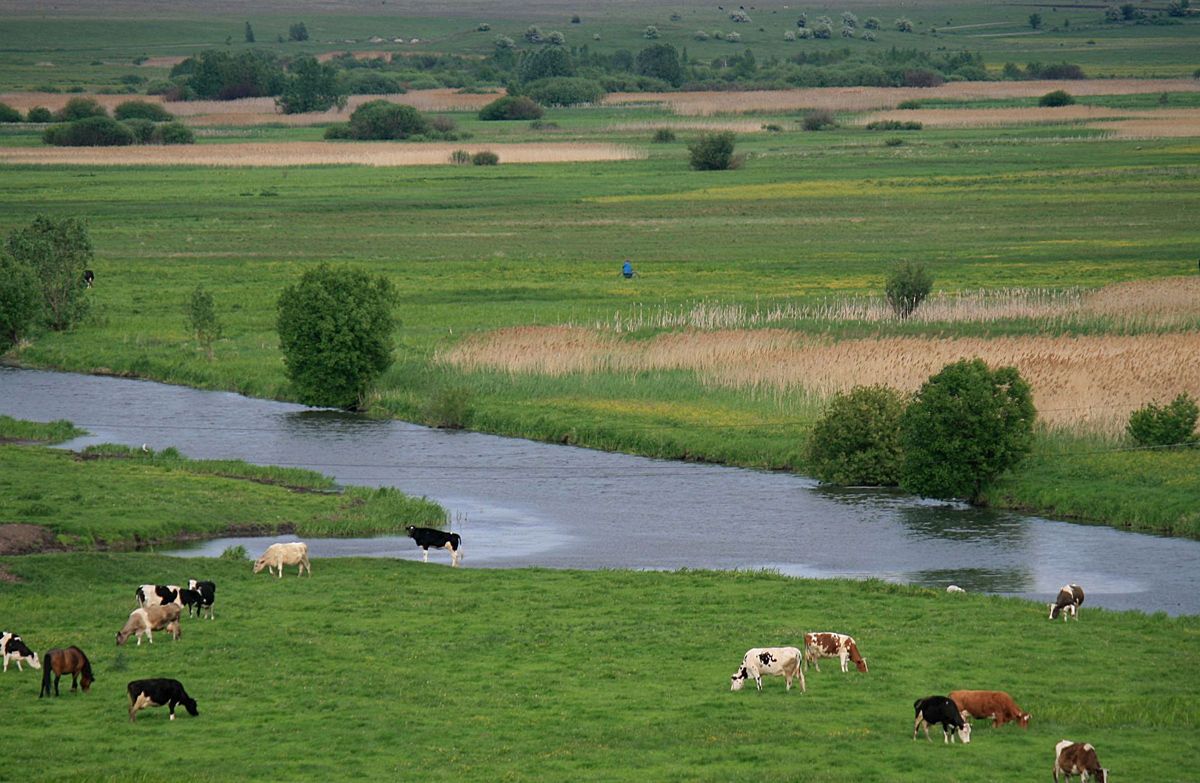 Die obere Fluss Gipanis.