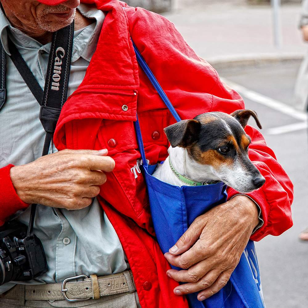 Der Fotograf und sein Freund