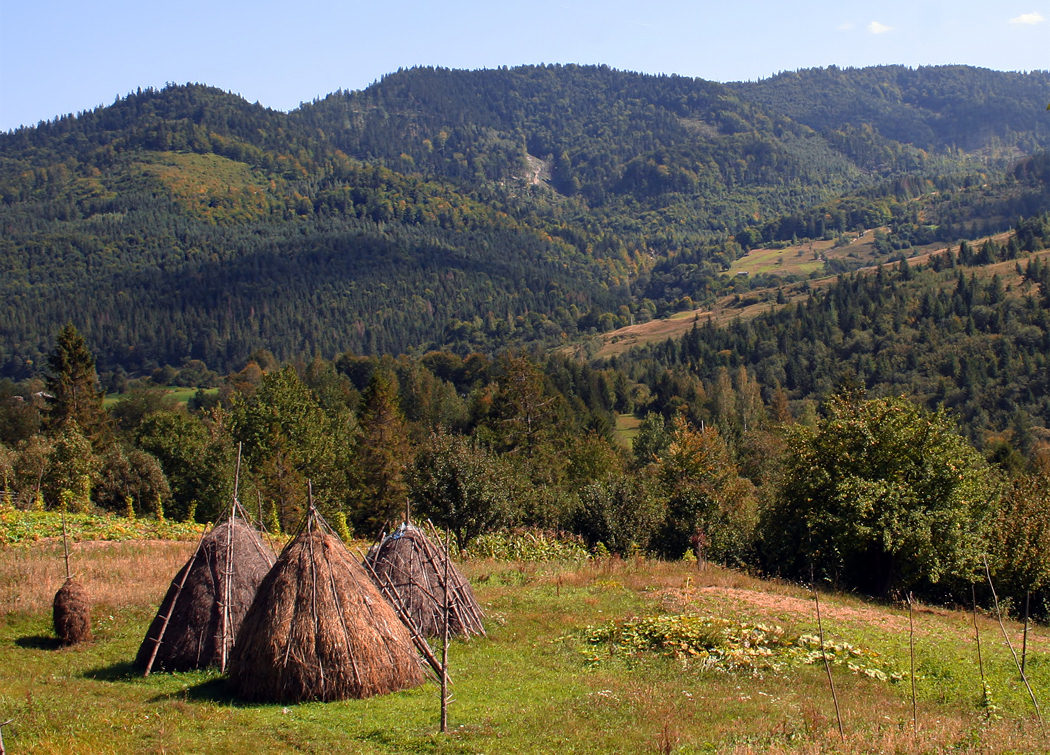 Premonition Karpaten ...