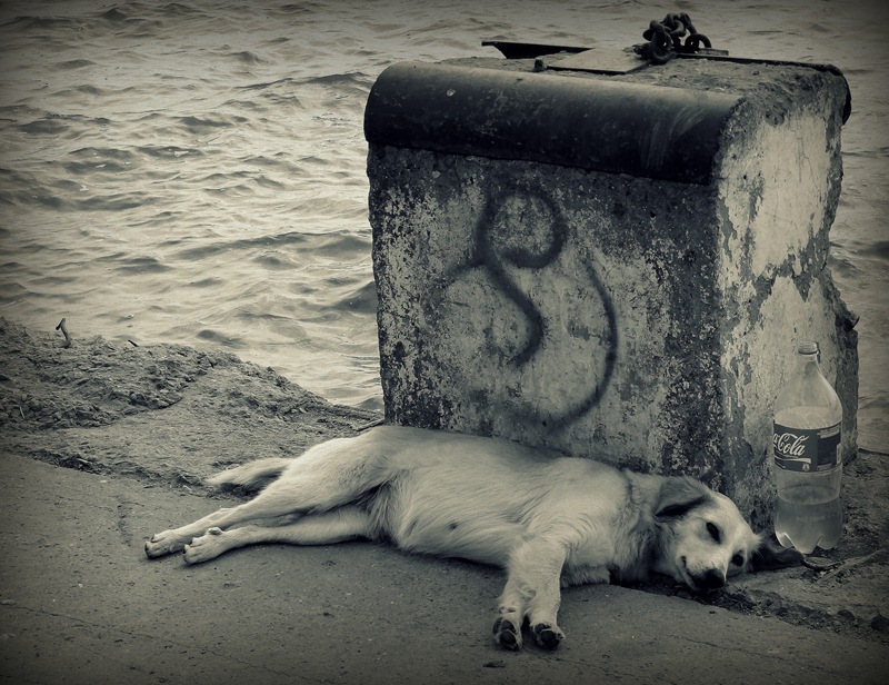 "Zavzhdi Coke - ich tse Liebe ..."