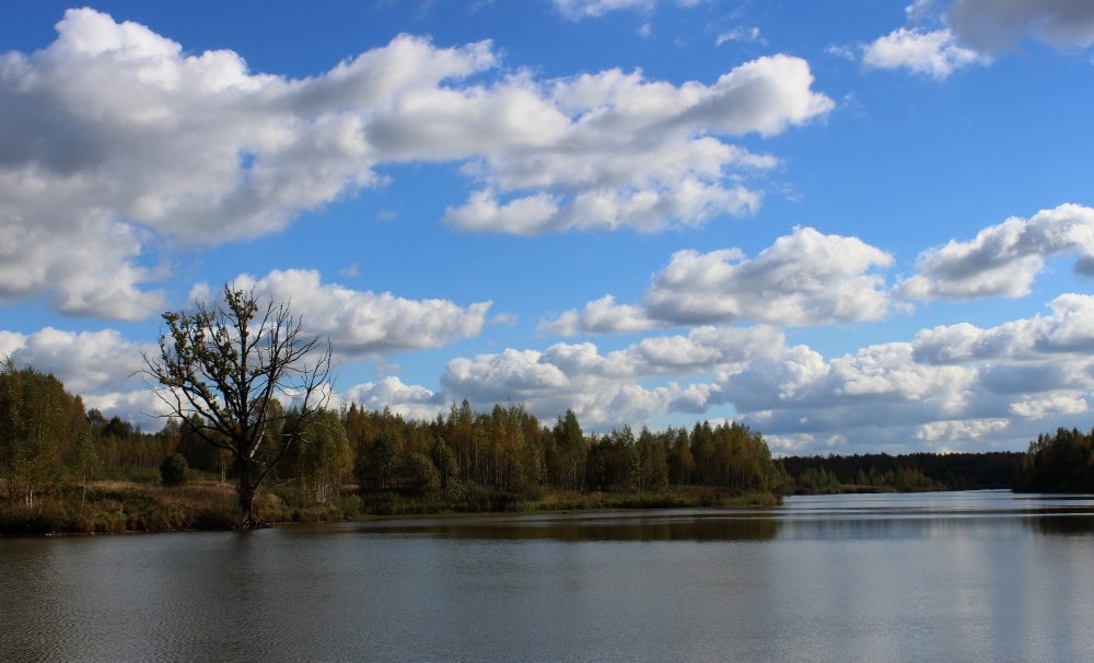 Der Herbst ist nah ...