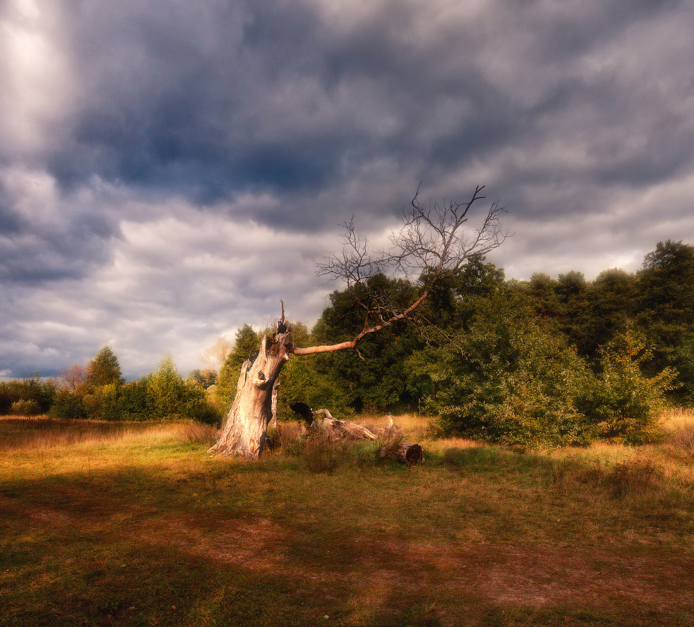 Der Beginn des Herbstes ............