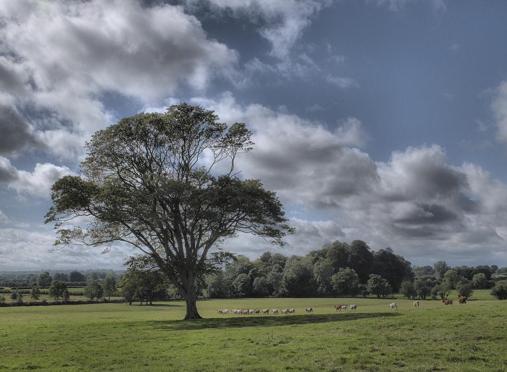 Far ... auf Absperrungen ...)))