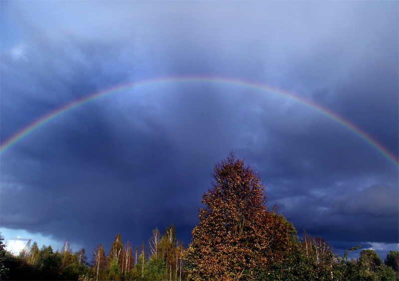 Autumn Rainbow