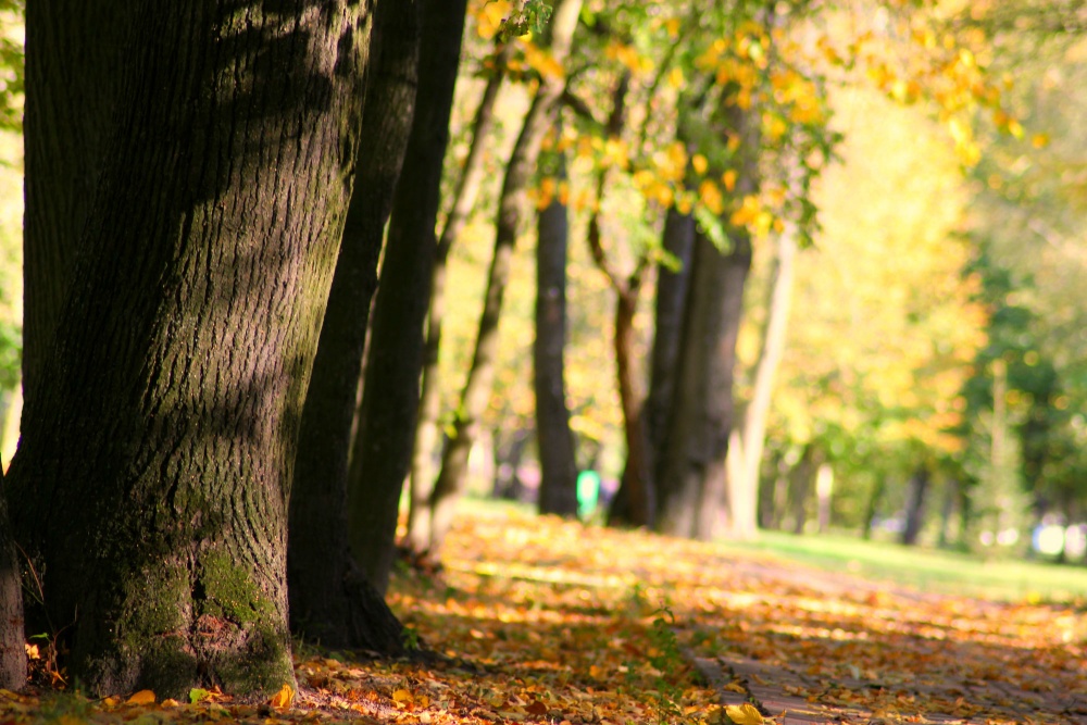 letzten Tag des September .......