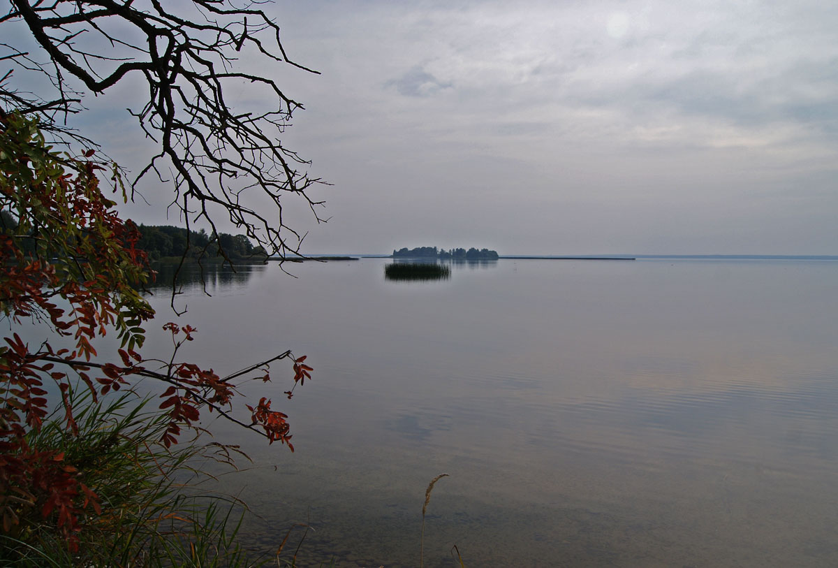 Serie: Narochanskaya