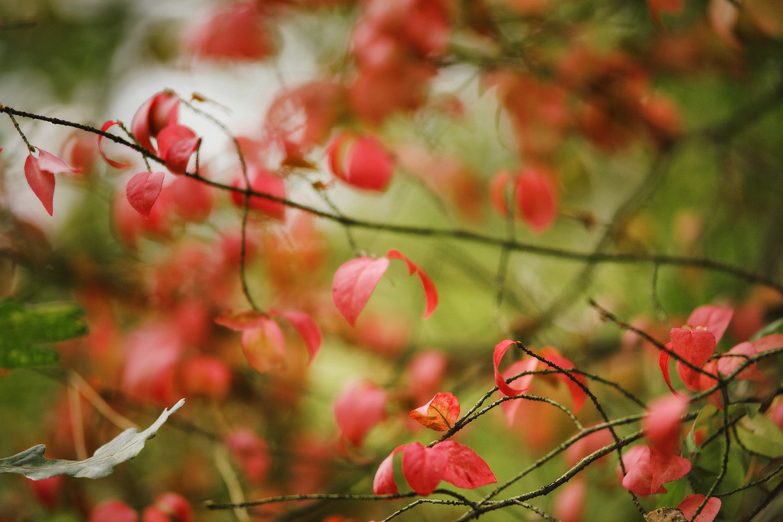 Postkarten September