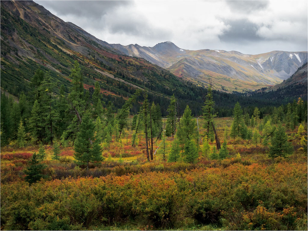 Herbstfarben Hoyto Gol