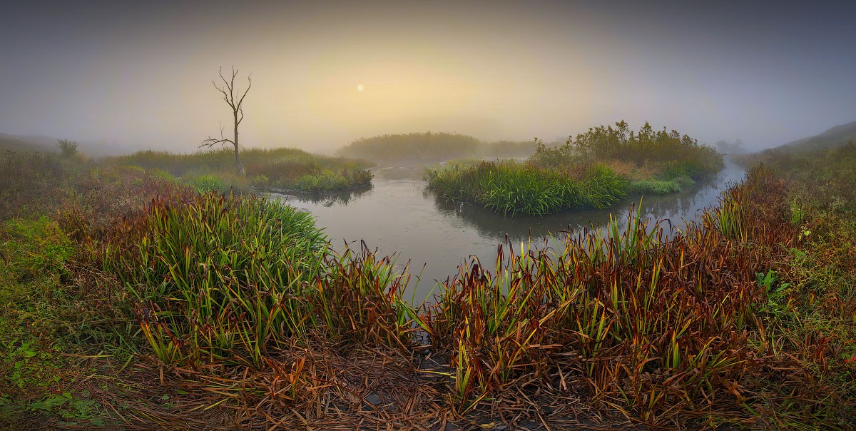 Sleepy Sonne über dem Horizont. Am frühen Morgen ...