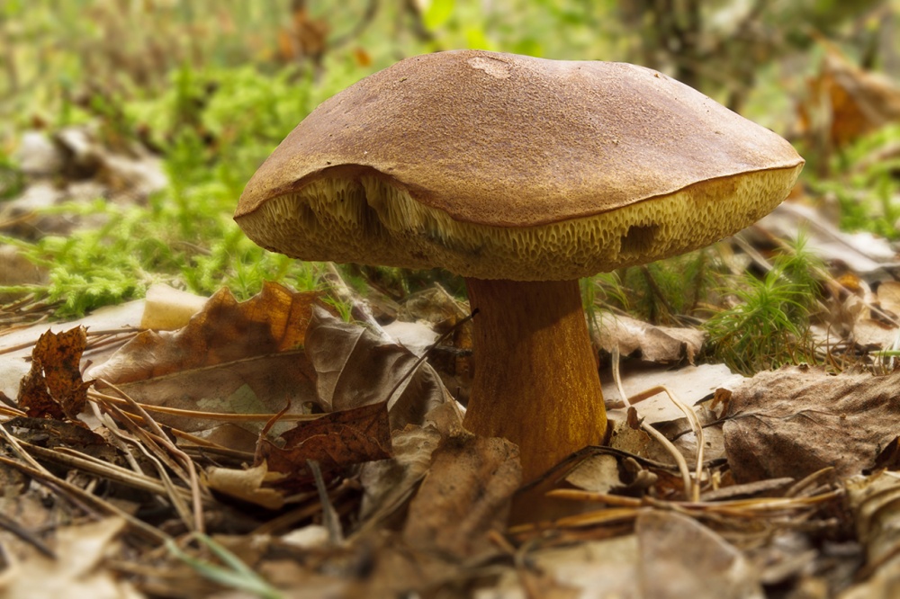 Schön zu sehen, ...