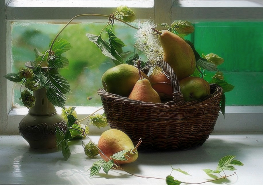 Birnen auf einem Feld