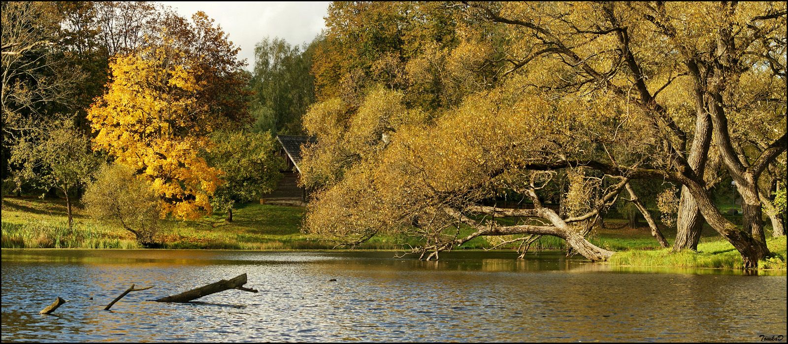 Вязынка. Осень...