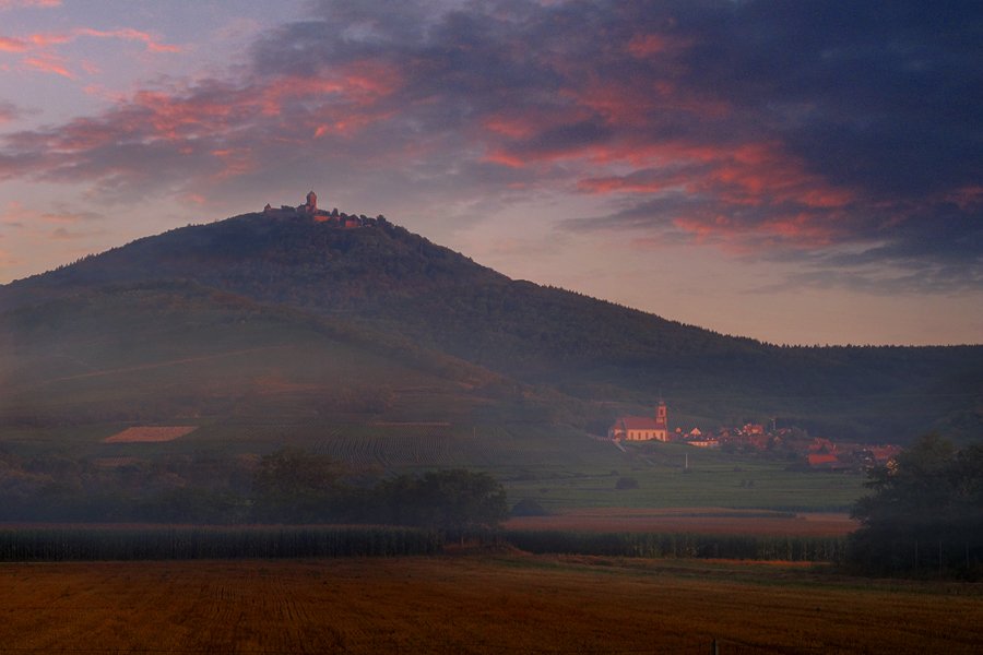 Eines Tages im Morgengrauen