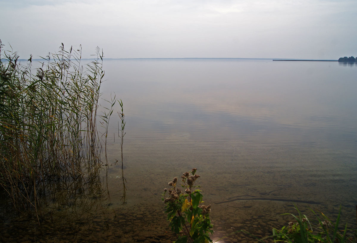 Serie: Narochanskaya