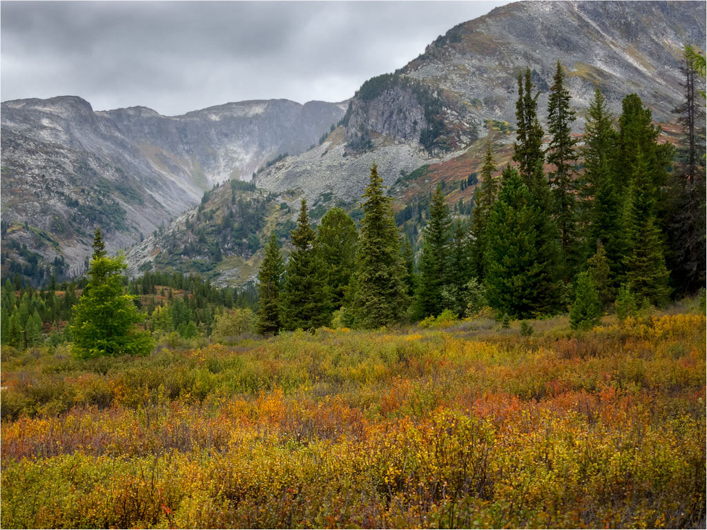 Herbstfarben Hoyto Gol 2