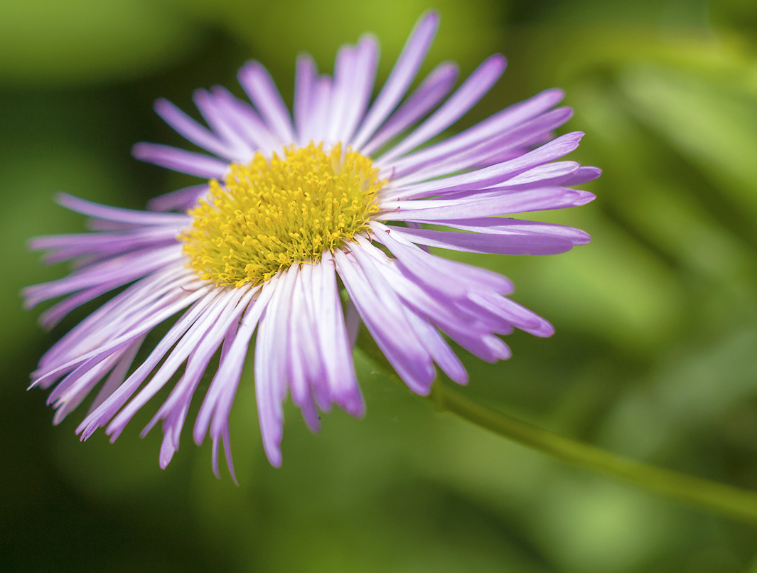 Erinnerung an den Sommer ...