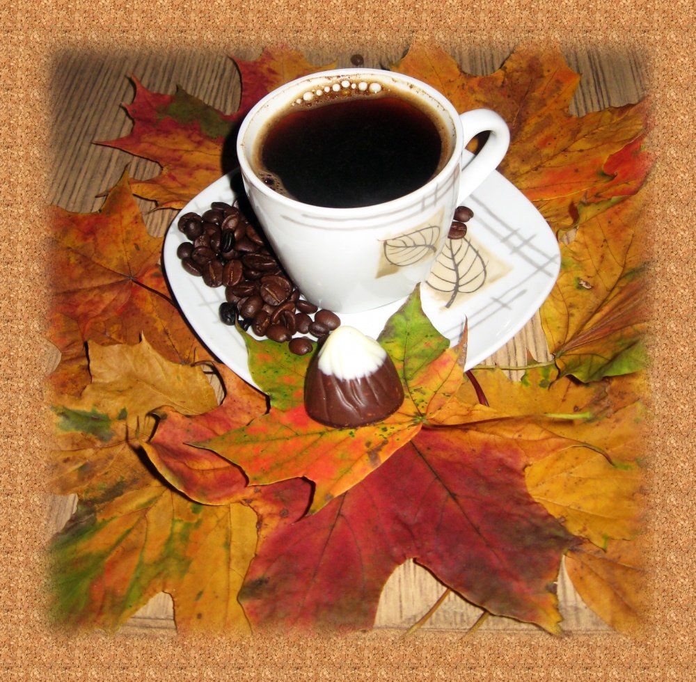 Чашечка кофе – поднять настроение.   Пол-шоколадки – заесть невезение (с)