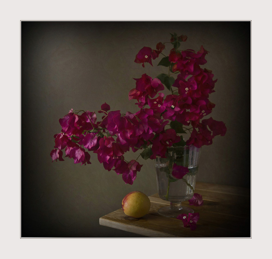 Bouquet von Bougainvillea