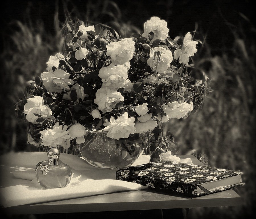 Geschlossen Tagebuch