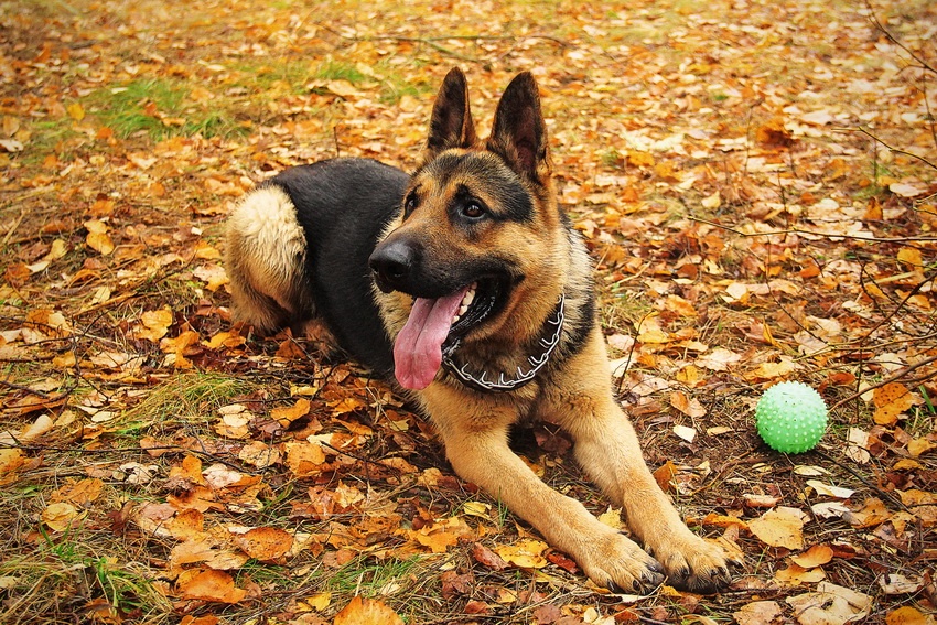 Sie können spielen? ...