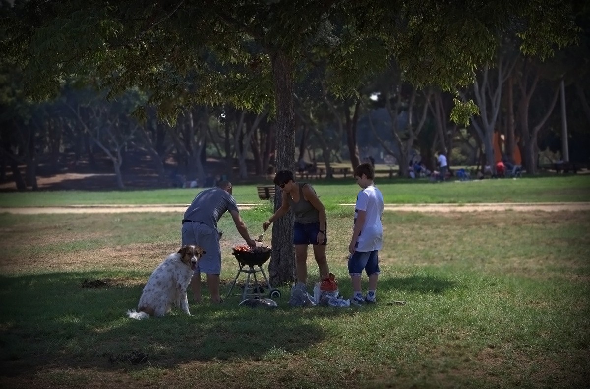 "... Nicht einmal sehen, durch ein wenig ..."