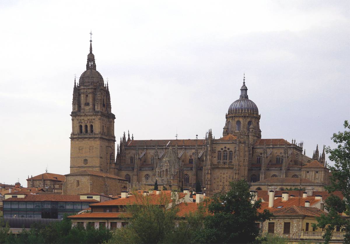 Se Cathedral