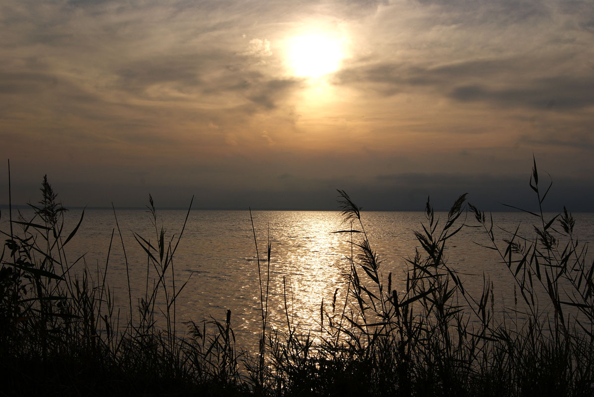 Serie: Narochanskaya