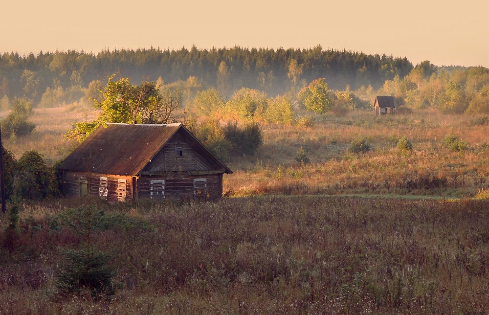 über das Haus zu Weihnachten Bäume ....