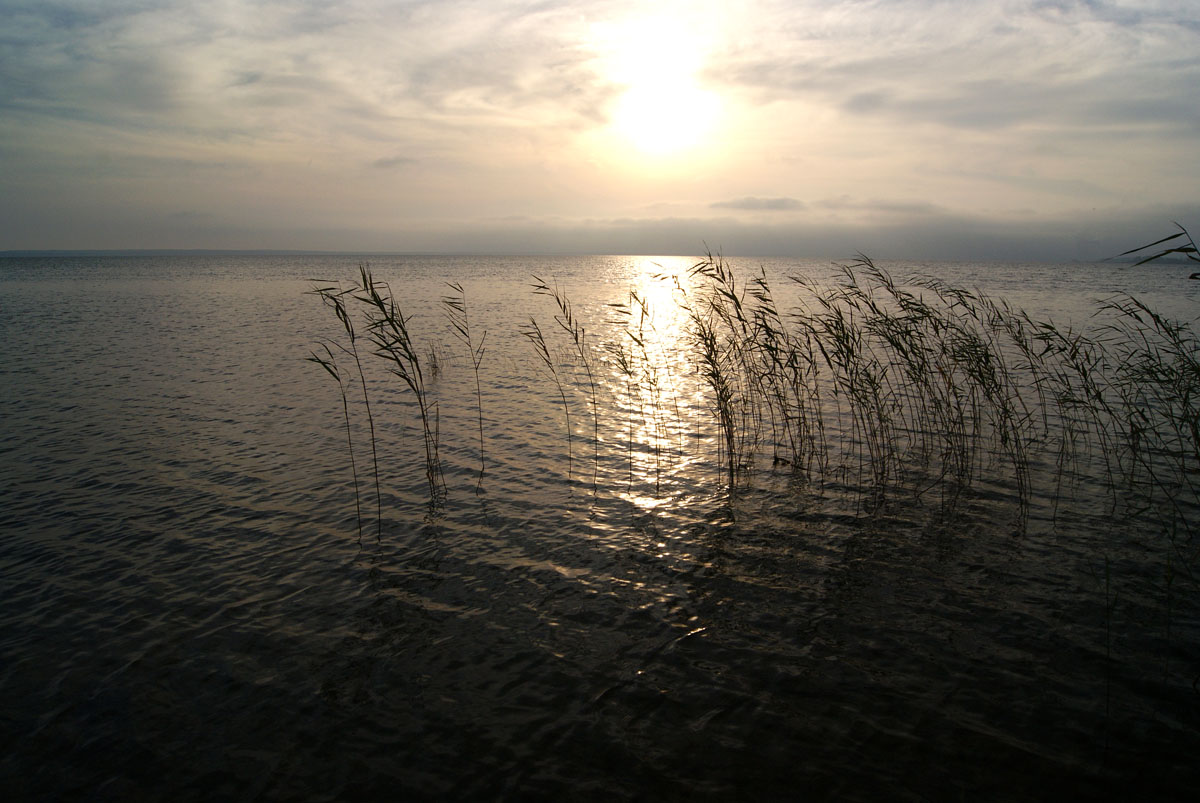 Serie: Narochanskaya