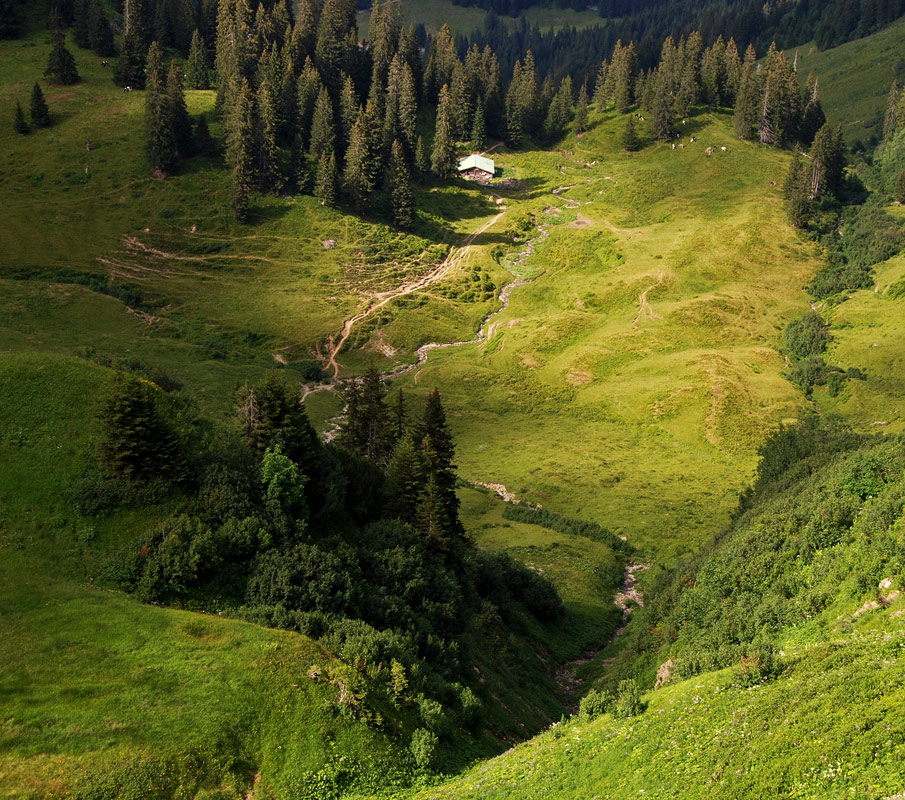 Von der Sonne liebkost (2)